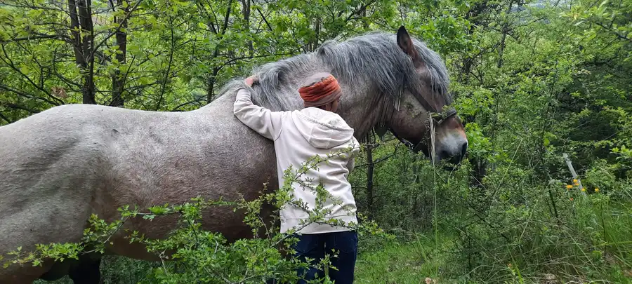 Photo de Catherine Prot avec un cheval dans la forêt